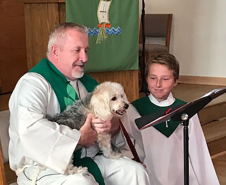 Pet Blessing This Sunday ...